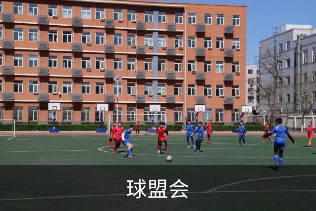 球盟会
